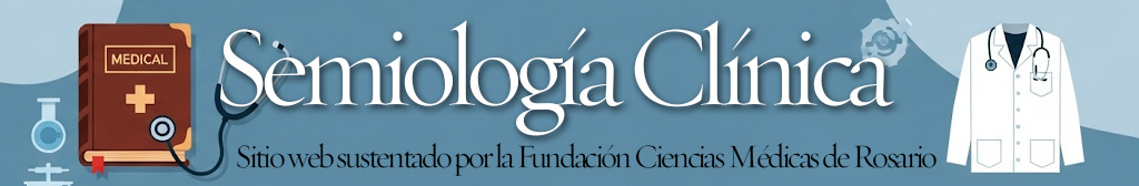 Banner responsivo